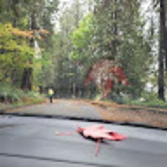 Meet your Posher, Aw - Picture 1 of 1